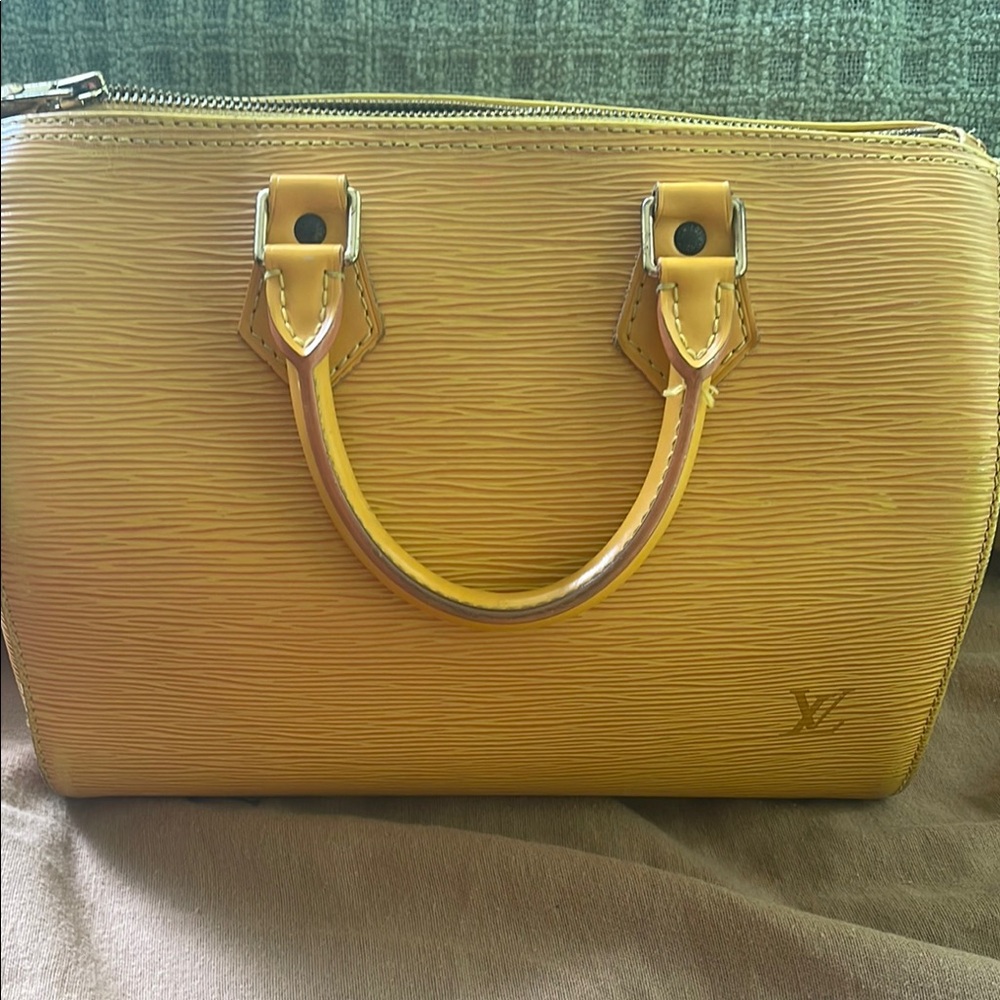 Louis Vuitton Epi Speedy 25